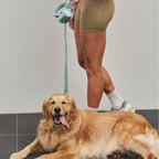 leashes-4