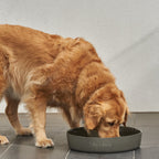 outdoor water bowls-0